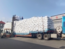 把握機(jī)遇、鉚足干勁、承勢(shì)而上